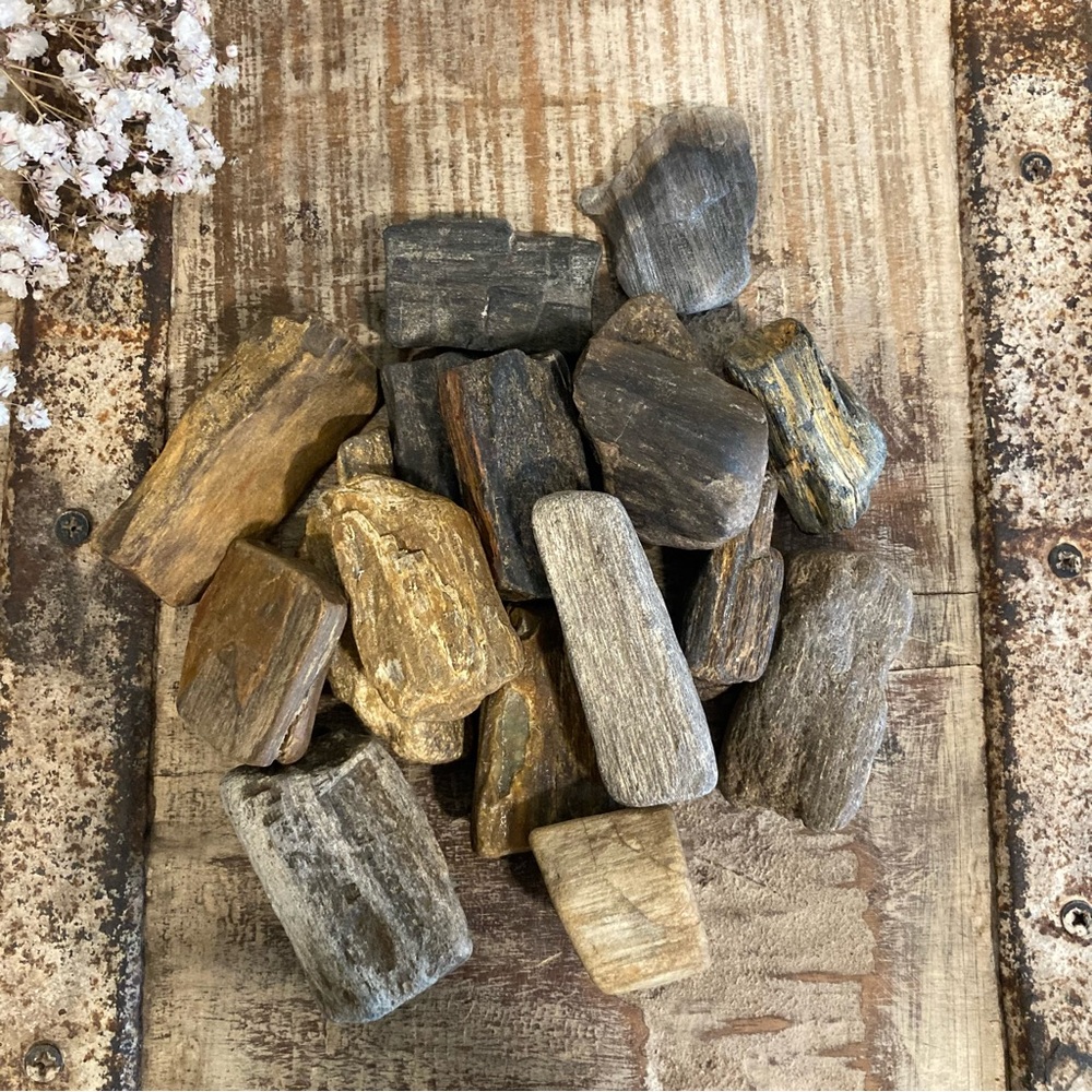17pcs Petrified Wood 🪵 Rock Collection - Picture 3 of 17